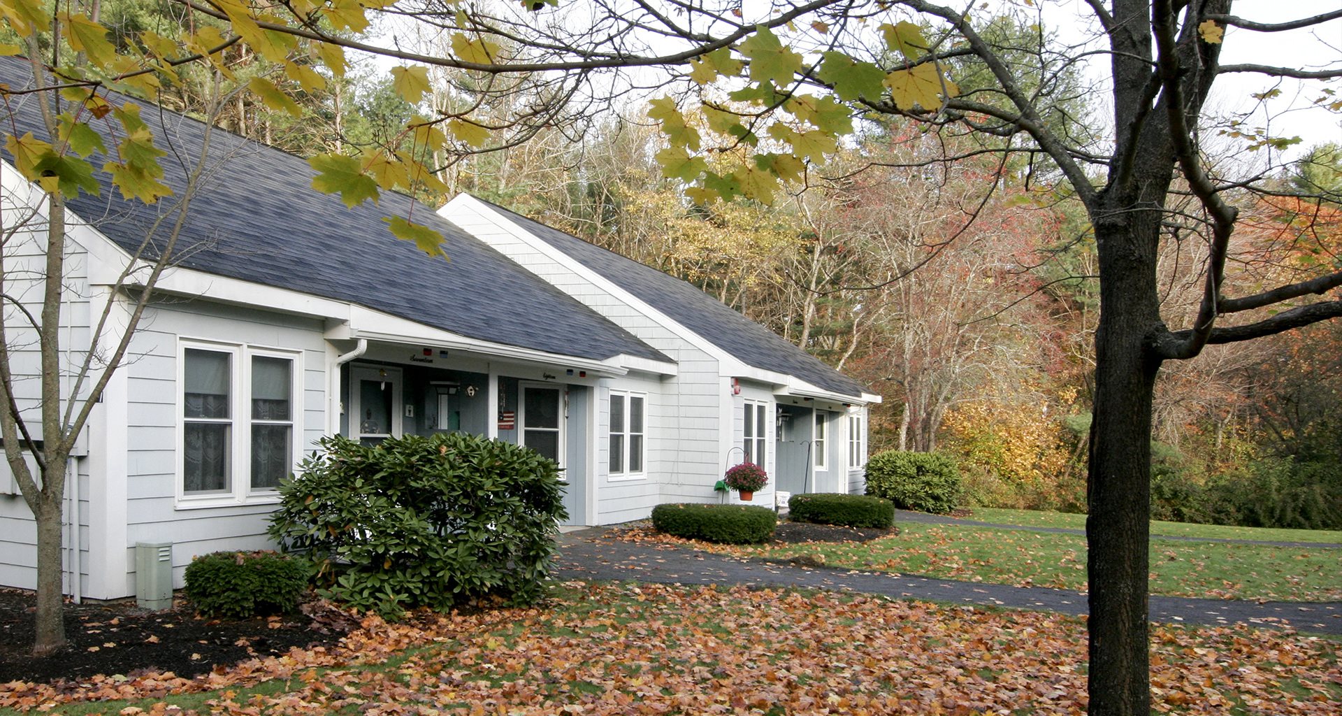 Gallery Photo 6